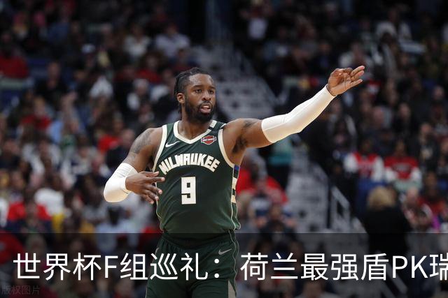 世界杯F组巡礼：荷兰最强盾PK瑞典犀利刀 日本短板明显