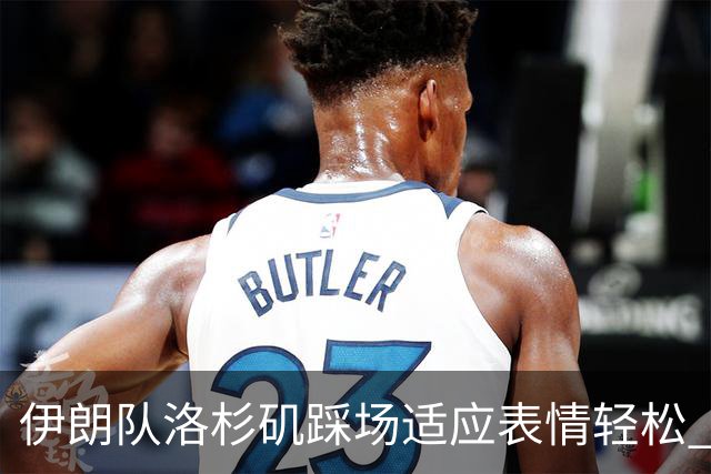 伊朗队洛杉矶踩场适应表情轻松 与挡板外记者们挥手致意