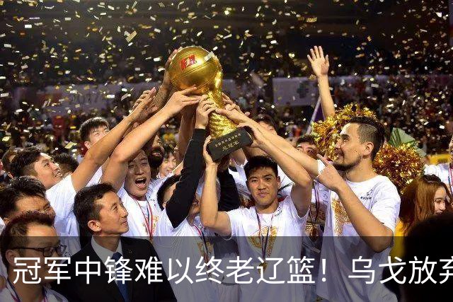 冠军中锋难以终老辽篮！乌戈放弃优先续约权，他恐成下一个弗格