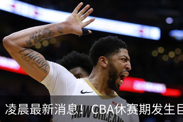 凌晨最新消息！CBA休赛期发生巨变：辽宁男篮重金追逐布朗，胡金秋可能面临有价无市的局面