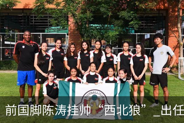 前国脚陈涛挂帅“西北狼” 出任陕西联合一线队主教练