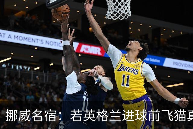 挪威名宿：若英格兰进球前飞猫真阻挡了皮球那理应坠球，太憋屈了
