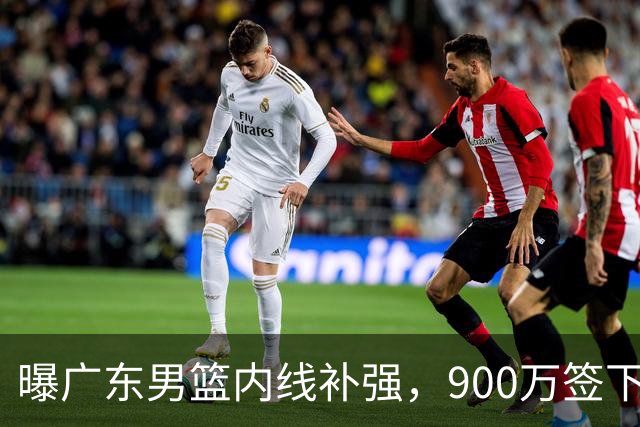 曝广东男篮内线补强，900万签下季后赛场均6.5分悍将，朱芳雨又现神操作