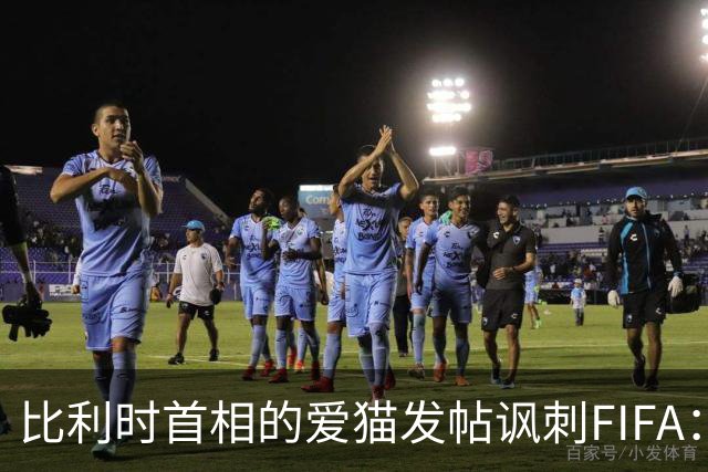 比利时首相的爱猫发帖讽刺FIFA：“红牌？”我照样继续踢！