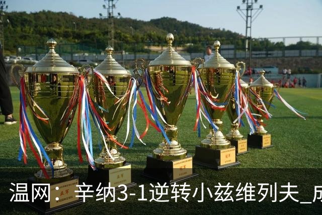 温网：辛纳3-1逆转小兹维列夫 成功卫冕夺生涯第五冠