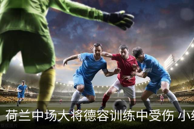 荷兰中场大将德容训练中受伤 小组赛次轮出战成疑
