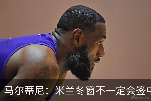 马尔蒂尼：米兰冬窗不一定会签中卫 看情况再说
